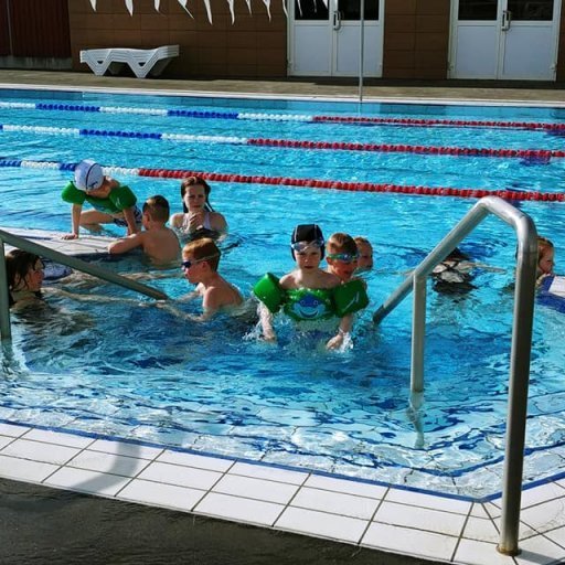 60354215_2276848795708155_6556567567924723712_n